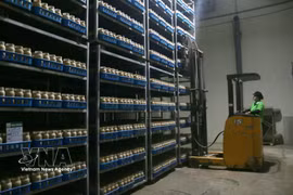 Robots handle cargo loading and unloading, helping reduce labour intensity and boost productivity (Photo: VNA)