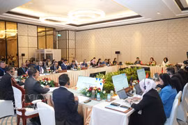 Delegates at the 13th meeting of the ASEAN – China Joint Science, Technology and Innovation Committee (ACJSTIC-13) in Vientiane, Laos on June 24 (Photo: VNA)