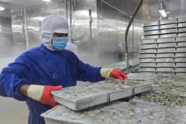 A worker processes shrimp for export at Minh Phu Company in Ca Mau province. (Photo: VNA)