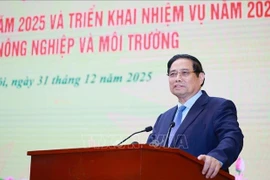 Prime Minister Pham Minh Chinh addresses the conference on December 31. (Photo: VNA)