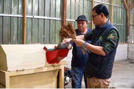 Indonesia boosts value of local food products