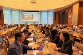 At a WTO committee's meeting (Photo: VNA)