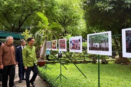 The exhibition “The Beauty of ASEAN Nations – Vietnam’s Imprint” highlights the beauty of nature and people of ASEAN countries, and is open until September 5 at IDECAF in Sai Gon ward. (Photo courtesy of artLIVE)