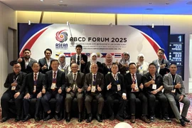 Representatives of Malaysian enterprises at 2025 ASEAN Business Community Development (ABCD) Forum (Photo: VNA)