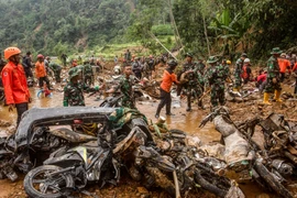 Indonesia searches for 19 missing following gold mine landslide