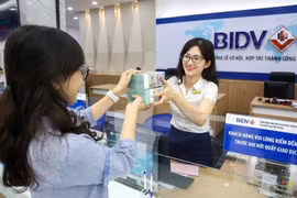 Many banks in Vietnam promote green credit for sustainable growth. (Photo: VNA)