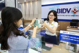 Many banks in Vietnam promote green credit for sustainable growth. (Photo: VNA)