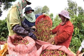 Illustrative image (Photo: VNA)