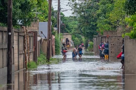 A flood-affected area in Maputo province, Mozambique on January 12. (Photo: THX/VNA)