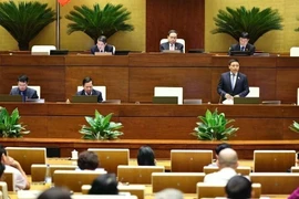 Participants at the Q&A session (Photo: VNA)