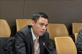 Deputy Foreign Minister Dang Hoang Giang (Photo: VNA)