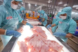 Workers classify tra (pangasius) fillets before freezing them for export at Sao Mai Group’s factory in An Giang province (Photo: VNA)