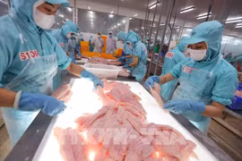 Workers classify tra (pangasius) fillets before freezing them for export at Sao Mai Group’s factory in An Giang province (Photo: VNA)