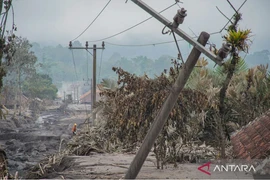Illustration: an electricity pole damaged by the eruption of Mount Semeru in Supiturang Village, Pronojiwo, Lumajang, East Java, on November 23. (Photo: ANTARA)
