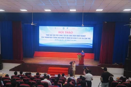 An overview of the conference in Can Tho (Photo: VNA)