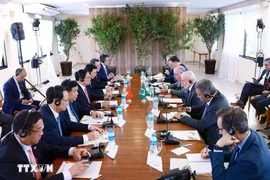 The talks between Prime Minister Pham Minh Chinh and Brazilian President Luiz Inácio Lula da Silva on November 17, 2024. (Photo: VNA)