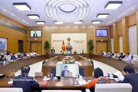 At the meeting (Photo: VNA)