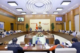 At the meeting (Photo: VNA)