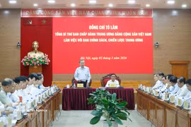 At a working session on the draft resolution for double-digit growth (Photo: VNA)