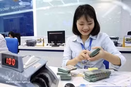 The State Bank of Vietnam set the daily reference exchange rate at 25,106 VND/USD on April 14. - Illustrative image (Photo: VNA)