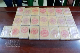 Exhibits in the case include 20 bricks of heroin. (Photo: VNA)