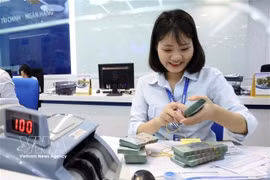 Bao Viet Bank's employee counts Vietnamese banknotes at a transaction counter in Hanoi. (Photo: VNA