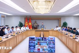 Deputy PM Tran Hong Ha speaks at the meeting. (Photo: VNA)