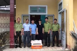 The People’s Committee of Dakrong commune in the central province of Quang Tri, in coordination with the Dakrong Forest Protection Station hand over a small-clawed otter to the Cuc Phuong National Park and the Wildlife Rescue Centre in Vietnam (Photo: VNA)