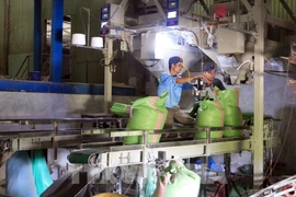 Illustrative image (Photo: VNA)