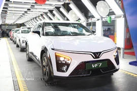 EV models manufactured at a VinFast factory in India. (Photo: VNA)