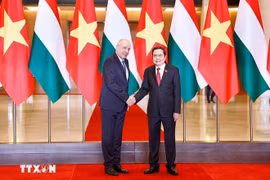 On the afternoon of May 28, 2025, Vietnamese National Assembly Chairman Tran Thanh Man (R) had a meeting with Hungarian President Sulyok Tamas during the latter’s official visit to Vietnam. (Photo: VNA)