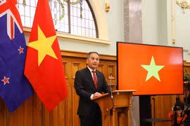 Vietnamese Ambassador to New Zealand Phan Minh Giang (Photo: VNA)