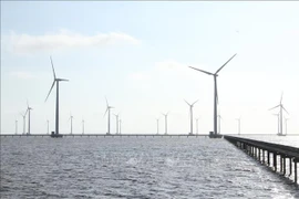 An offshore wind power plant in the Mekong Delta (Photo: VNA)