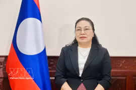 Lao ambassador highlights significance of Vietnam’s 16th National Assembly election