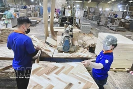 Wood panel production at the Thuan An Wood JSC in Ho Chi Minh City (Photo: VNA)