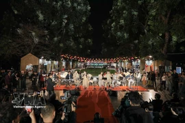 Guests experience an outdoor music performance featuring a live orchestra at the opening ceremony of the Hanoi Tourism Festival 2026 at Thong Nhat Park on March 13 evening. (Photo: VNA)