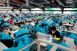 Workers produce garments for export to the US and the EU at the Maxport Thai Binh apparel company (Photo: VNA)