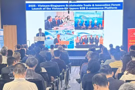 The Vietnam – Singapore business networking programme held in Singapore on April 17. (Photo: VNA)