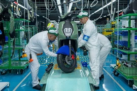 Illustrative photo (Photo: VNA)