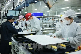 The production line of Regza Electronics Vietnam Co., Ltd. located in Dong Nai province. (Photo: VNA)