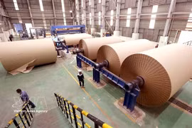 A paper factory in Thanh Hoa province (Photo: VNA)