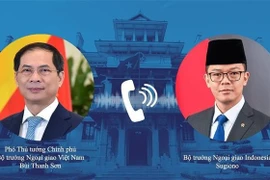 Deputy Prime Minister and Foreign Minister Bui Thanh Son holds a telephone talks with Indonesian Minister of Foreign Affairs Sugiono on February 10. (Photo: VNA)