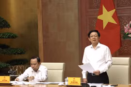 Deputy Prime Minister Ho Quoc Dung speaks at the meeting. (Photo: VNA)