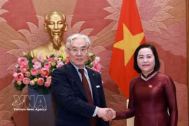 National Assembly Vice Chairwoman Nguyen Thi Thanh (right) meets with Higashiue Shinichi, Chairman of Japan's Tokushukai Medical Group (Photo: VNA)
