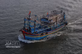 A fishing vessel enters Song Doc port in Ca Mau province. (Photo: VNA)
