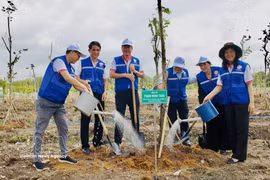 Ho Chi Minh City officials and residents plant a tree at Lang Le Cultural Park in Binh Loi commune on May 19, 2026. (Photo: VNA)