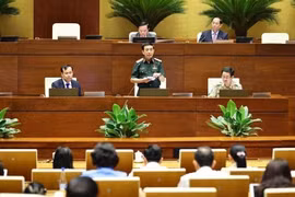 Minister of National Defence General Phan Van Giang addresses the event, clarifies key issues raised by deputies. (Photo: VNA)