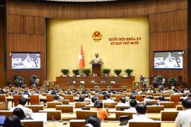 The November 13 sitting of the 15th National Assembly's ongoing 10th session (Photo: VNA)