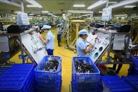 Workers produce electronic components at Me Tran Vinh Phuc Electronics Company Limited in the northern province of Vinh Phuc. (Photo: VNA)