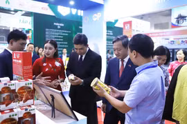 Vietnamese Ambassador to Laos Nguyen Minh Tam and Lao Deputy Minister of Industry and Commerce Phouthavanh Nanthavong visit the Vietnamese pavilion at VIETLAO EXPO 2026 (Photo: VNA)